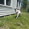 Dottie photo 6