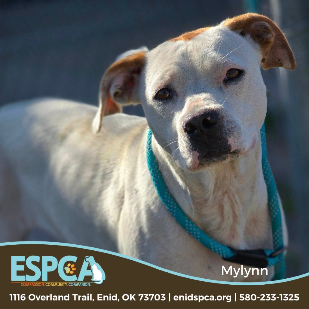 Mylynn