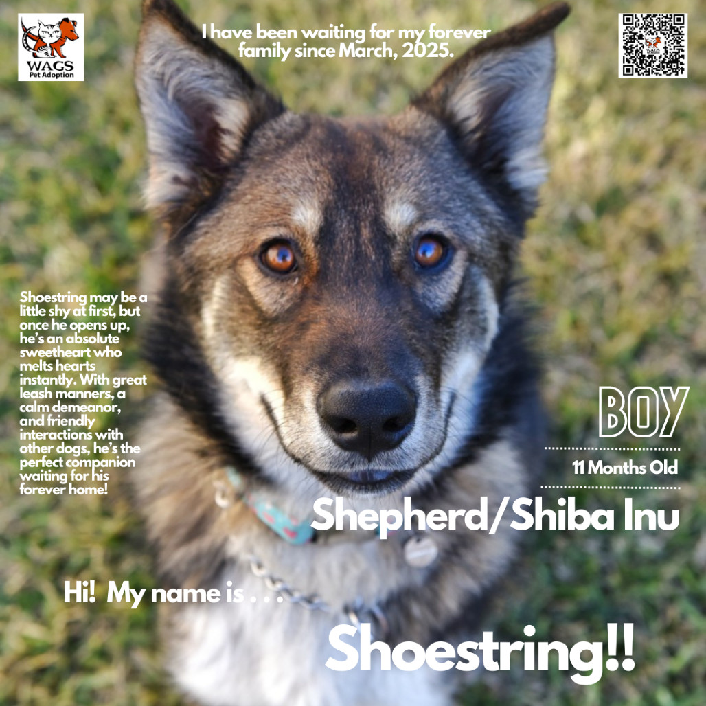 Shoestring