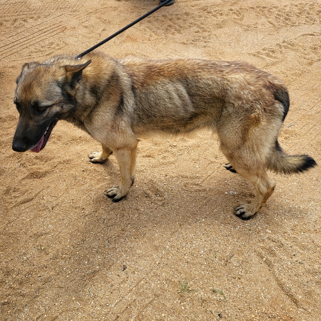Kilo
