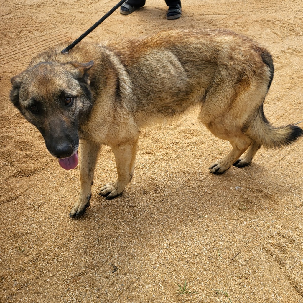 Kilo