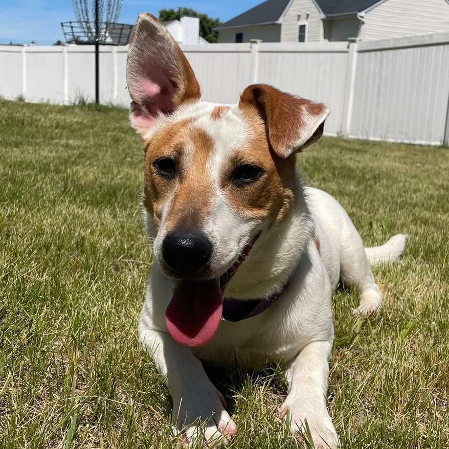 Watson