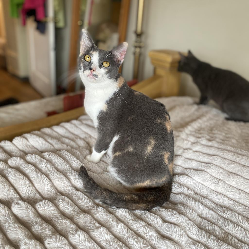 Marble