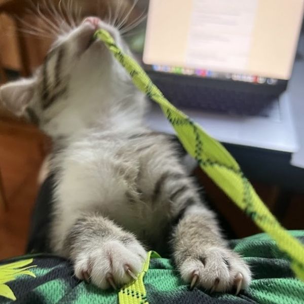 August Sunrise thumbnail 5