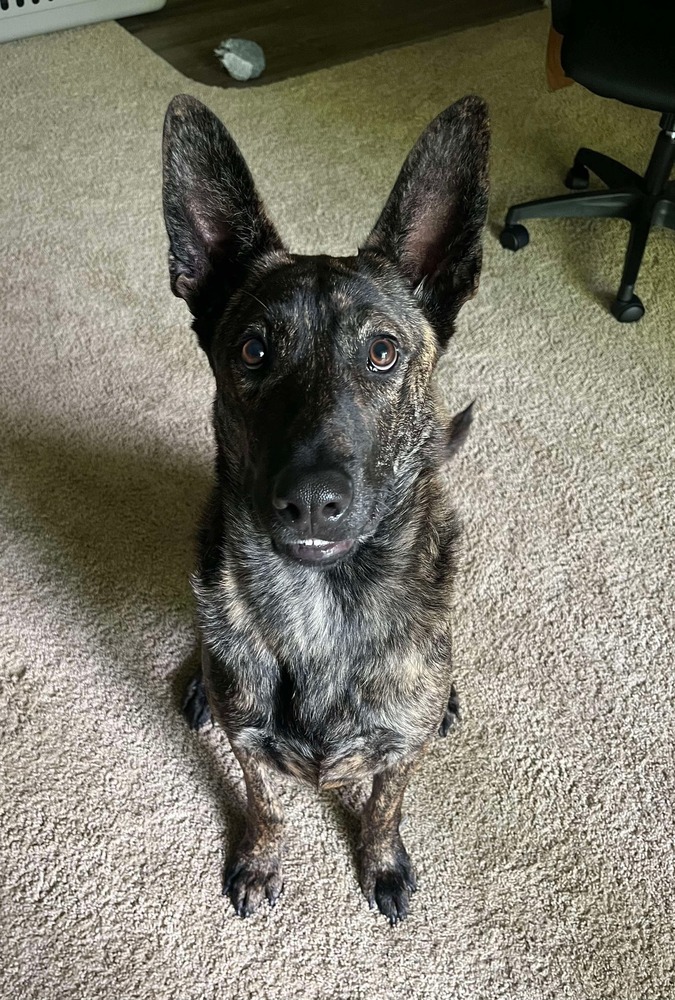 Milo - Located in OR