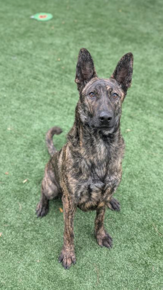 Milo - Located in OR