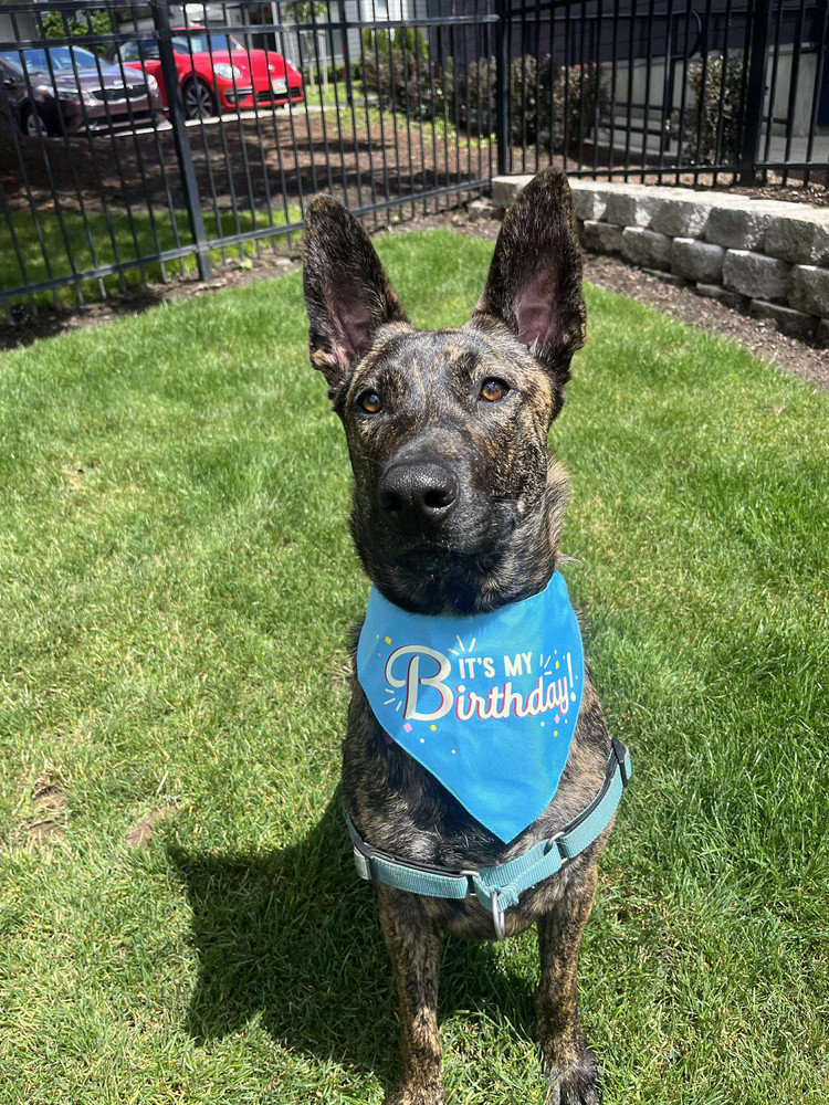 Milo - Located in OR