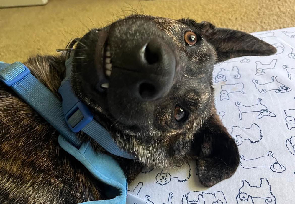 Milo - Located in OR