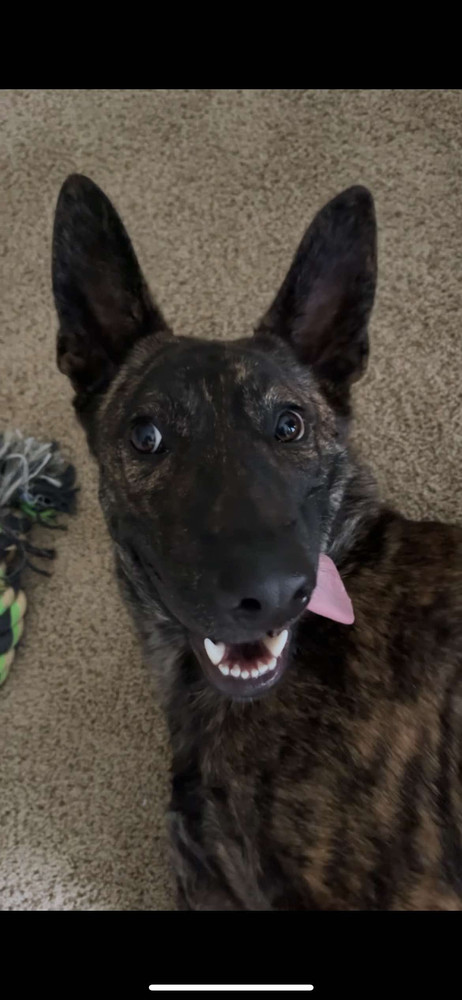 Milo - Located in OR