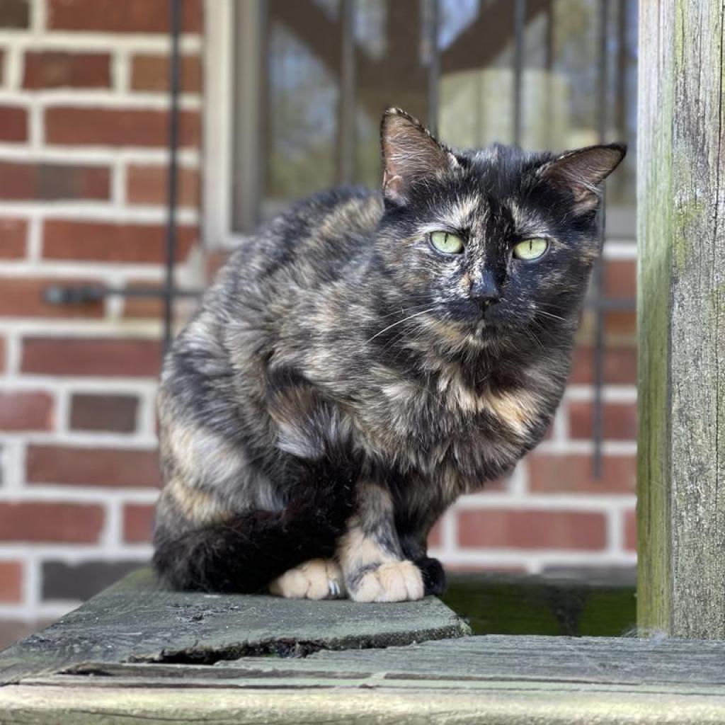 Esther