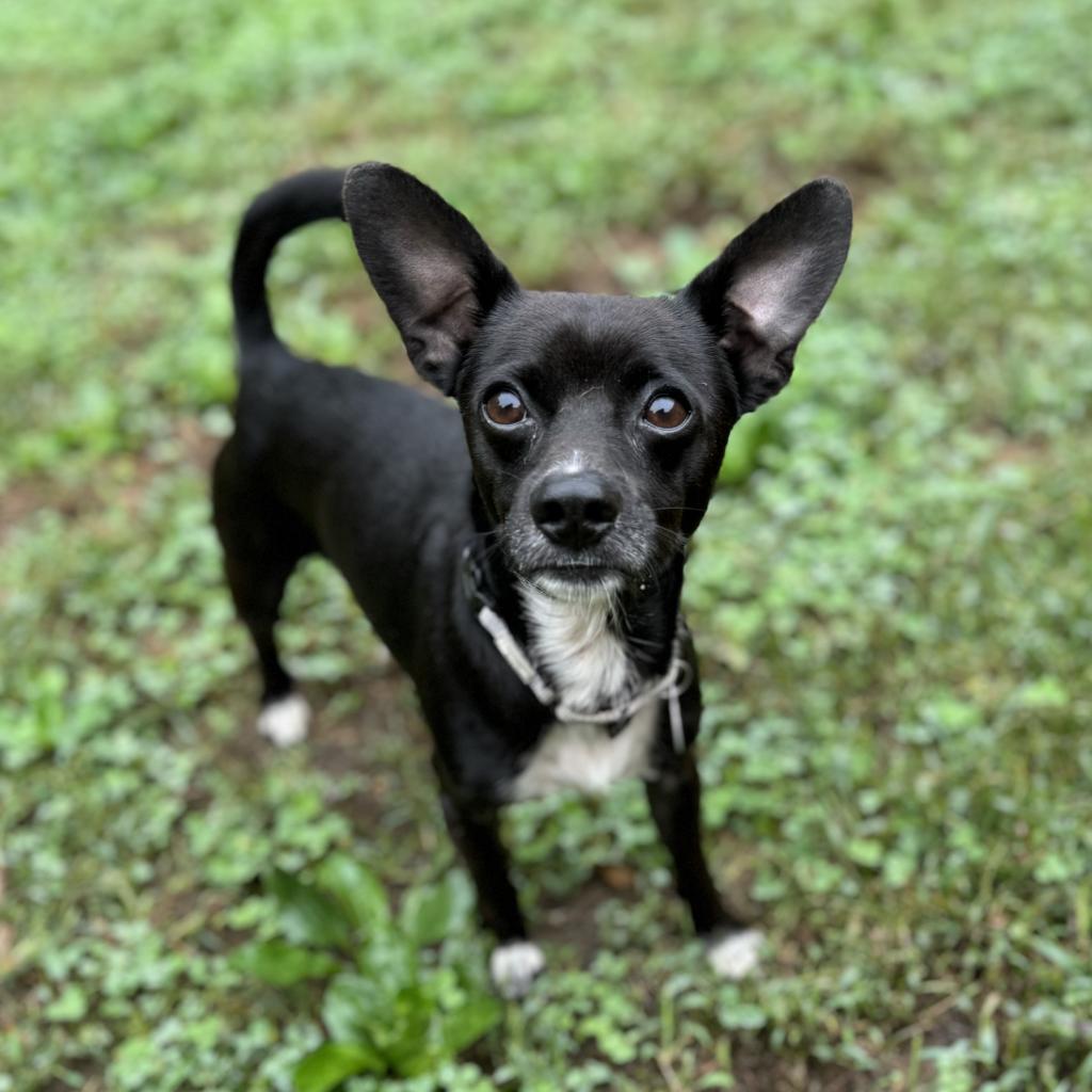 Finbar