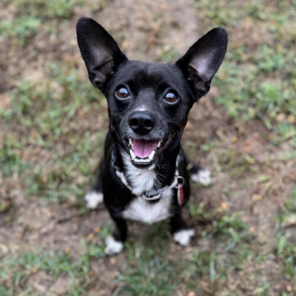 Finbar