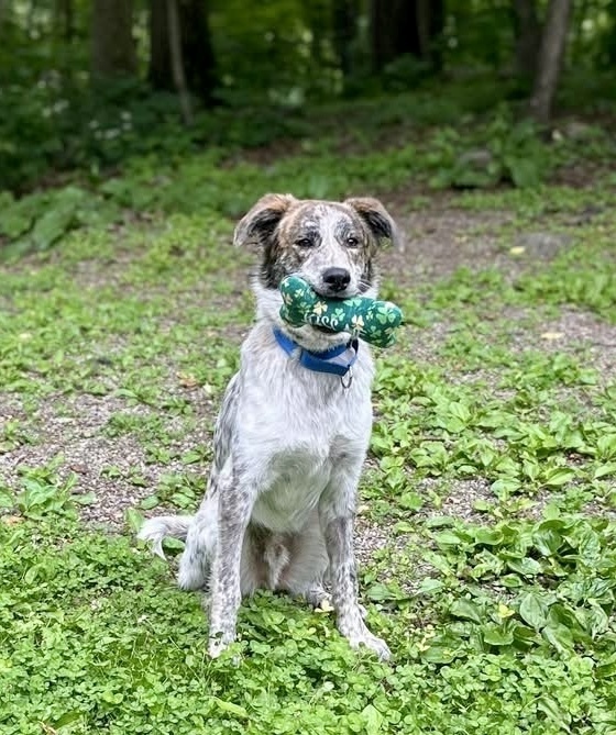 Cash the Charismatic
