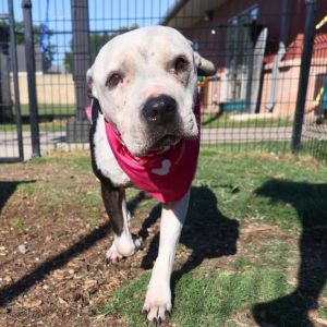 MOOMOO, Senior Female unknown