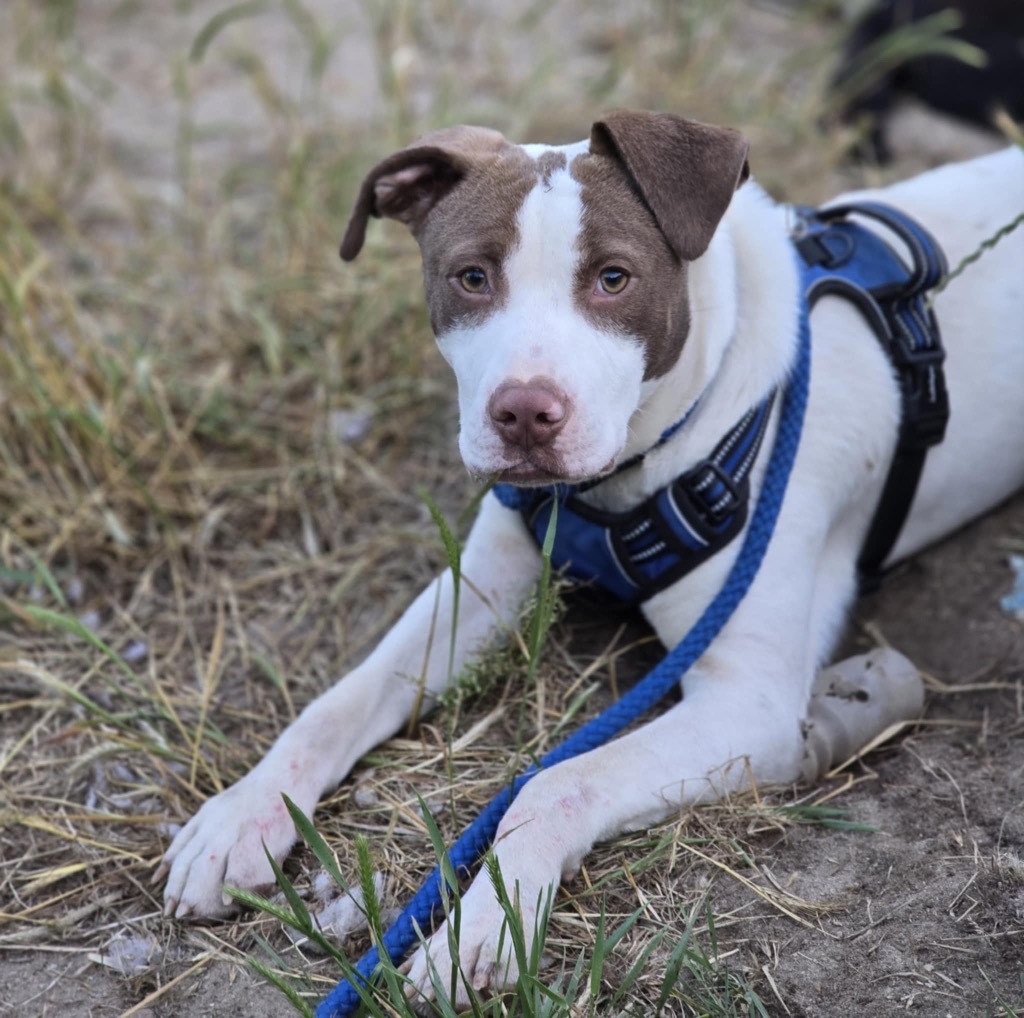 Buster Georgia