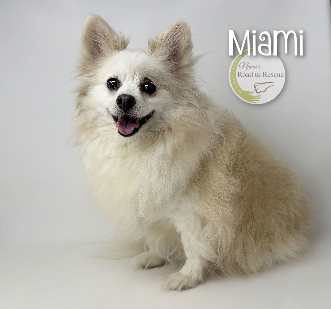 Miami