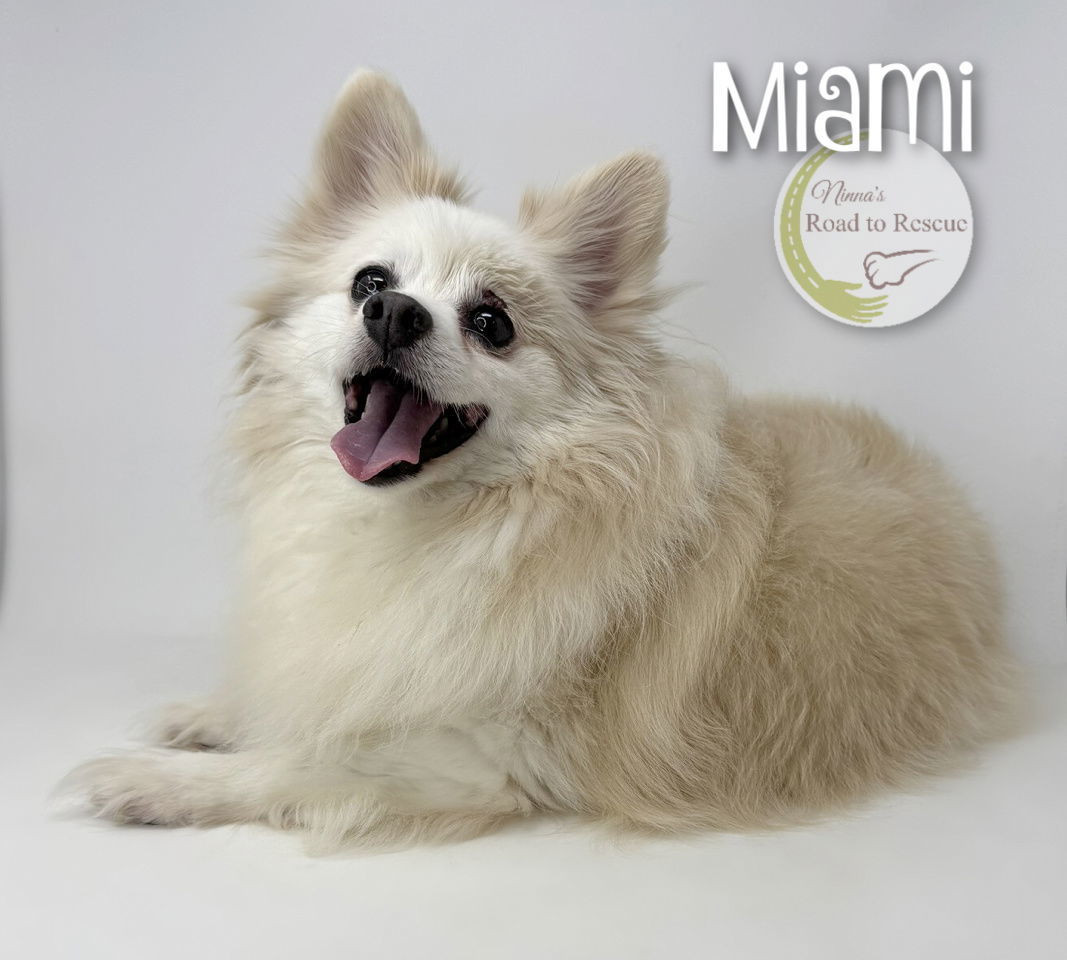 Miami