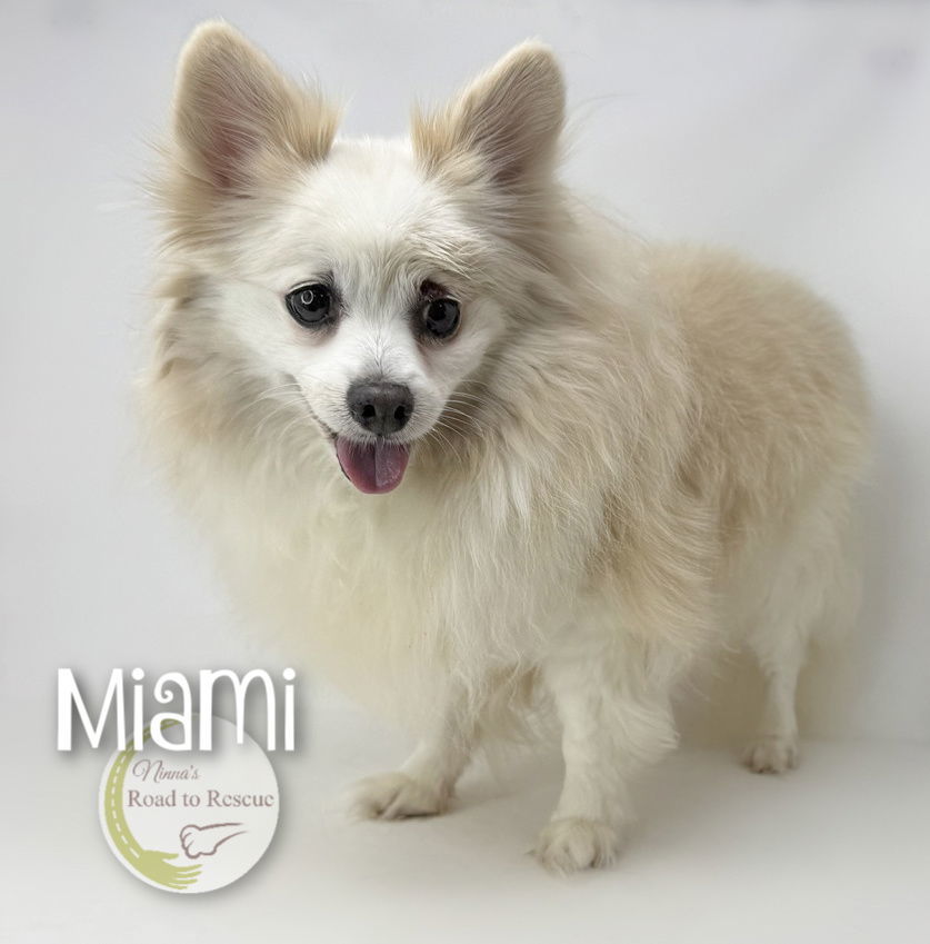 Miami
