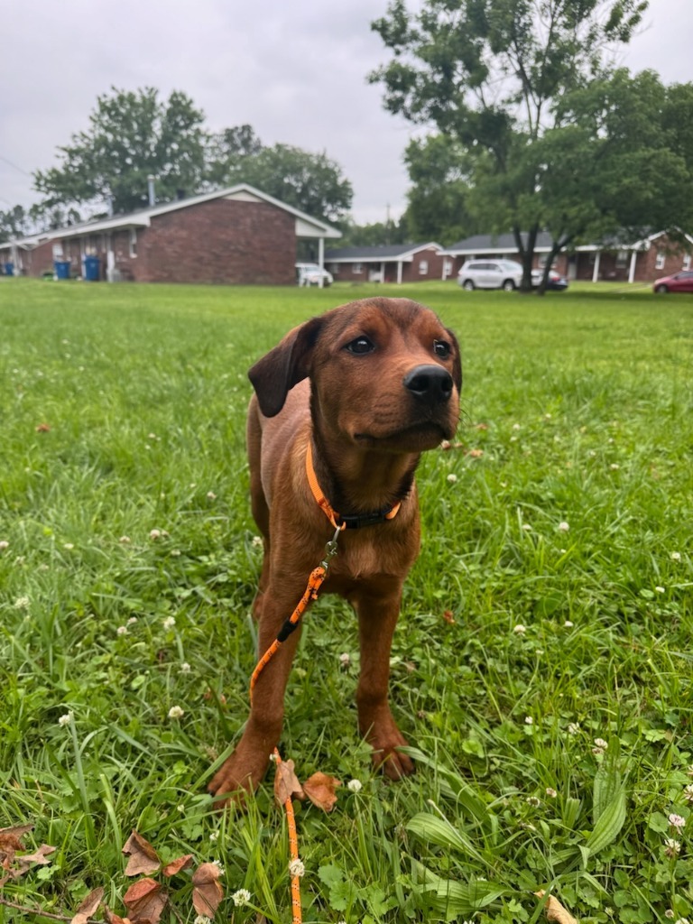 Billy