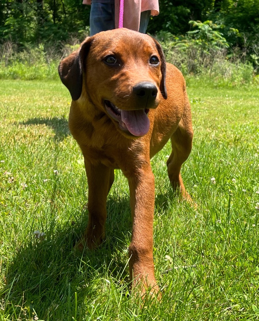Billy