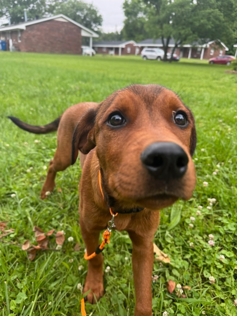 Billy
