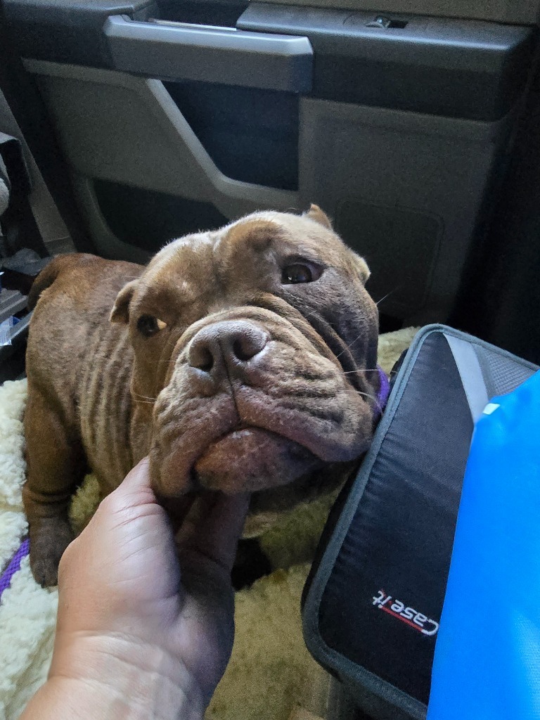 Copper