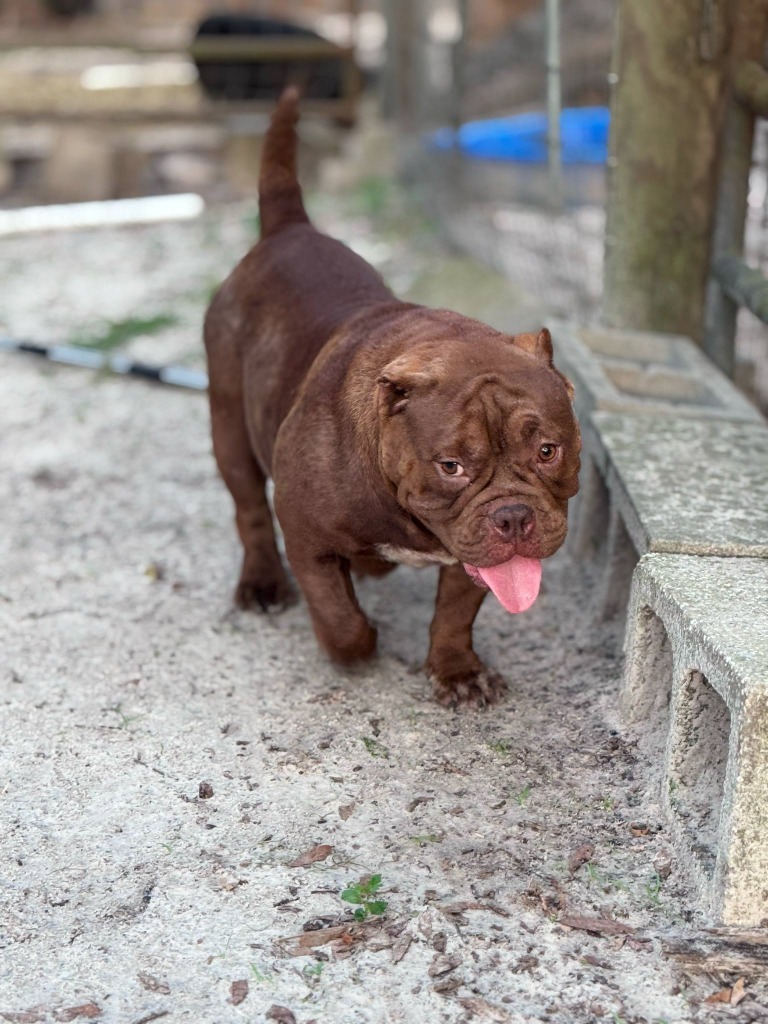 Copper