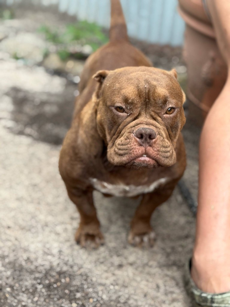 Copper