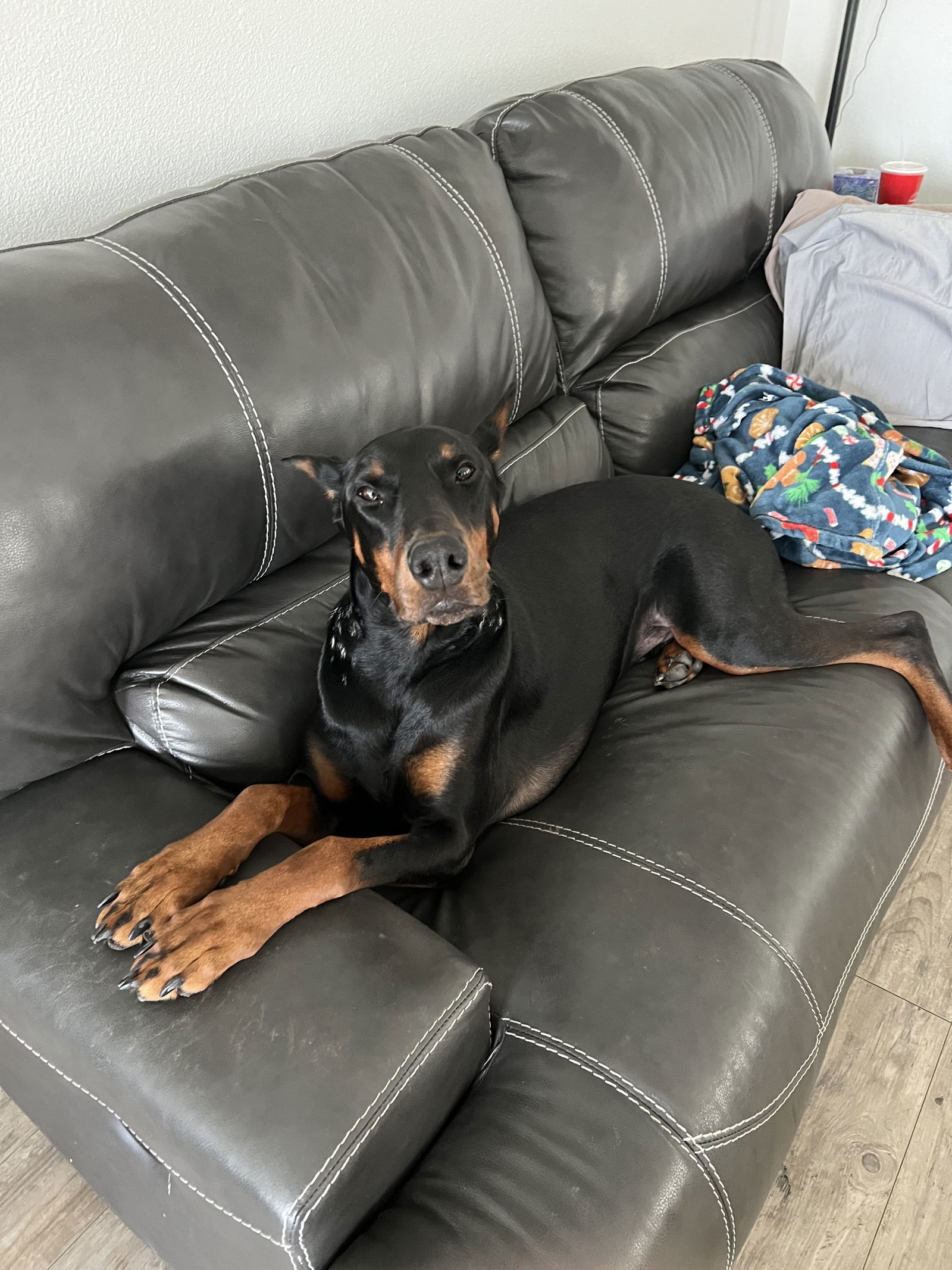 Loki