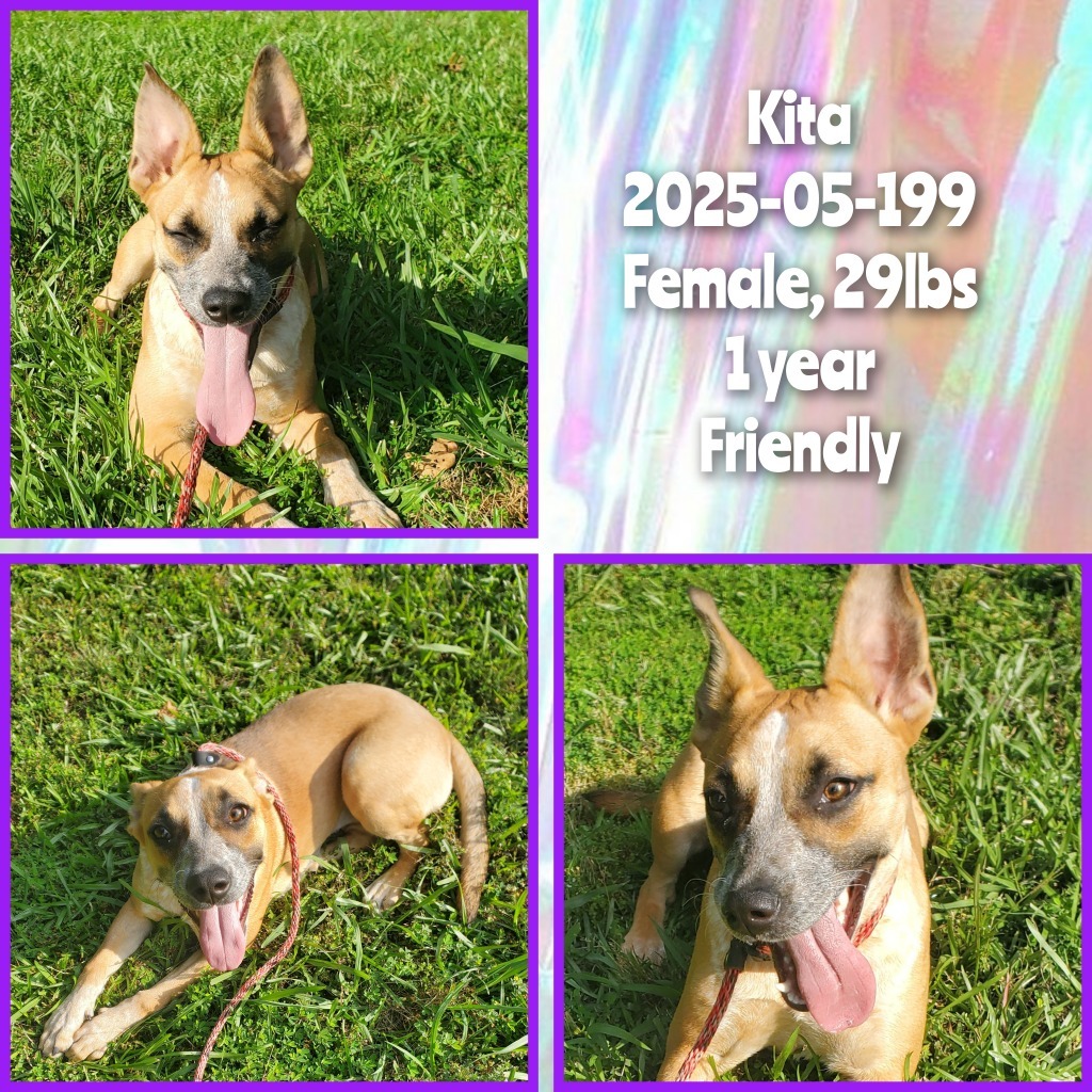 2025-05-199 *Kita*