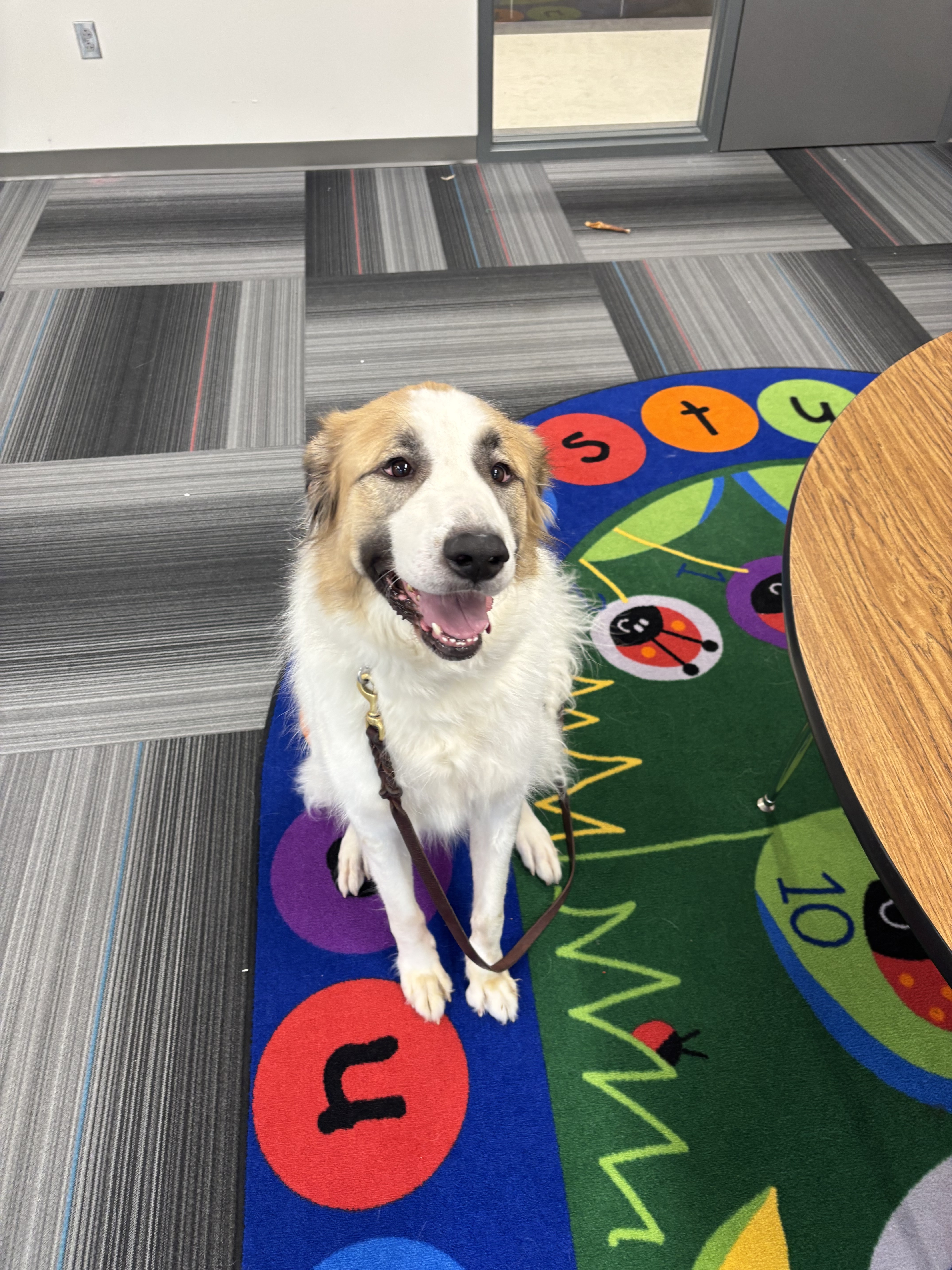 Marlow fka Aquata HTX