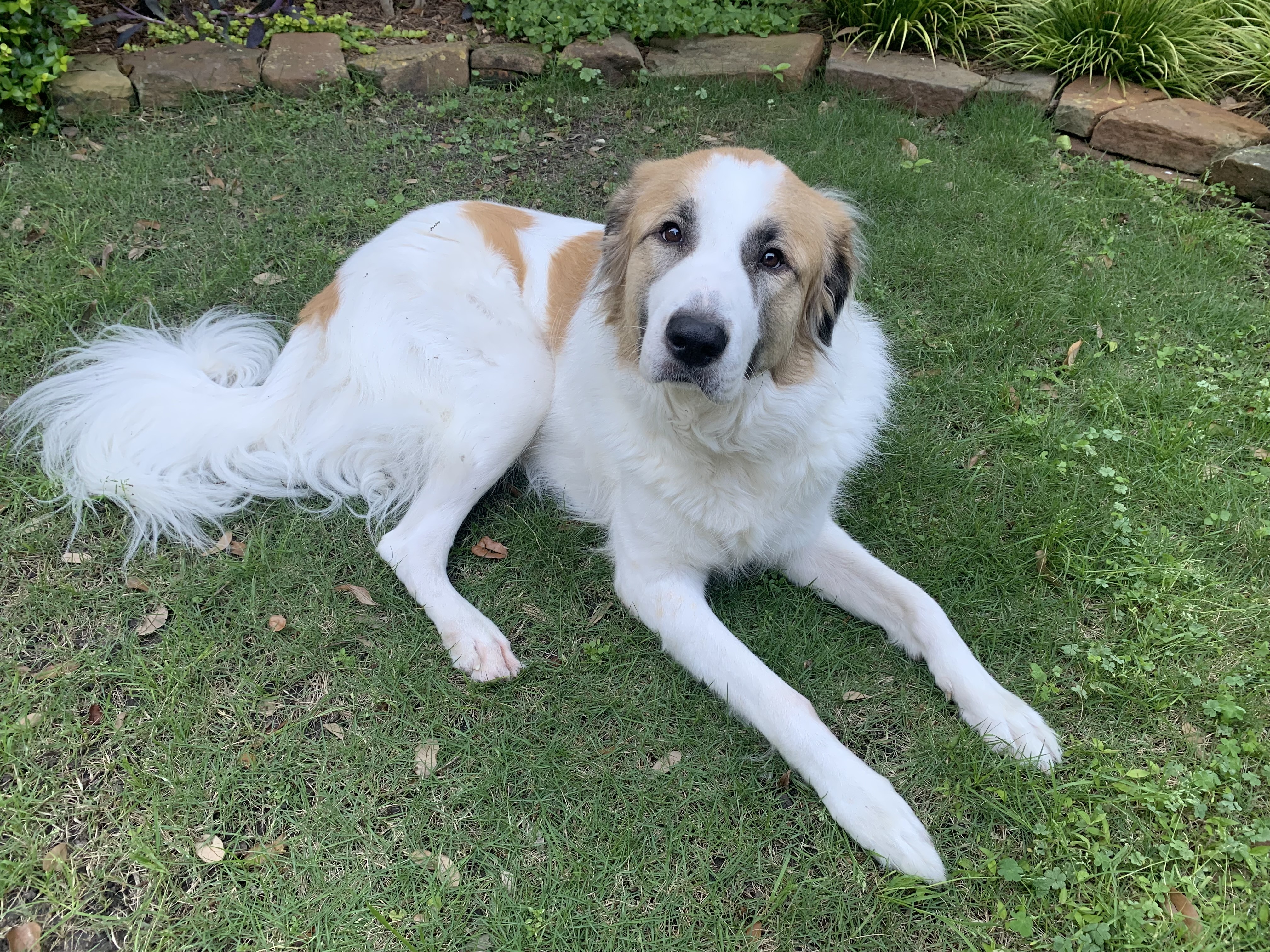 Marlow fka Aquata HTX