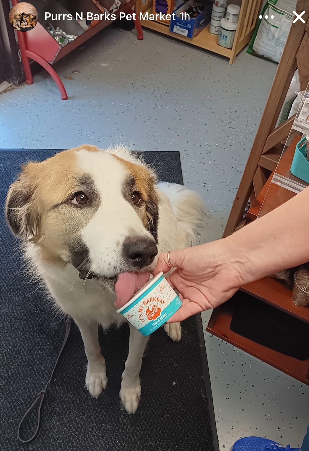 Marlow fka Aquata HTX