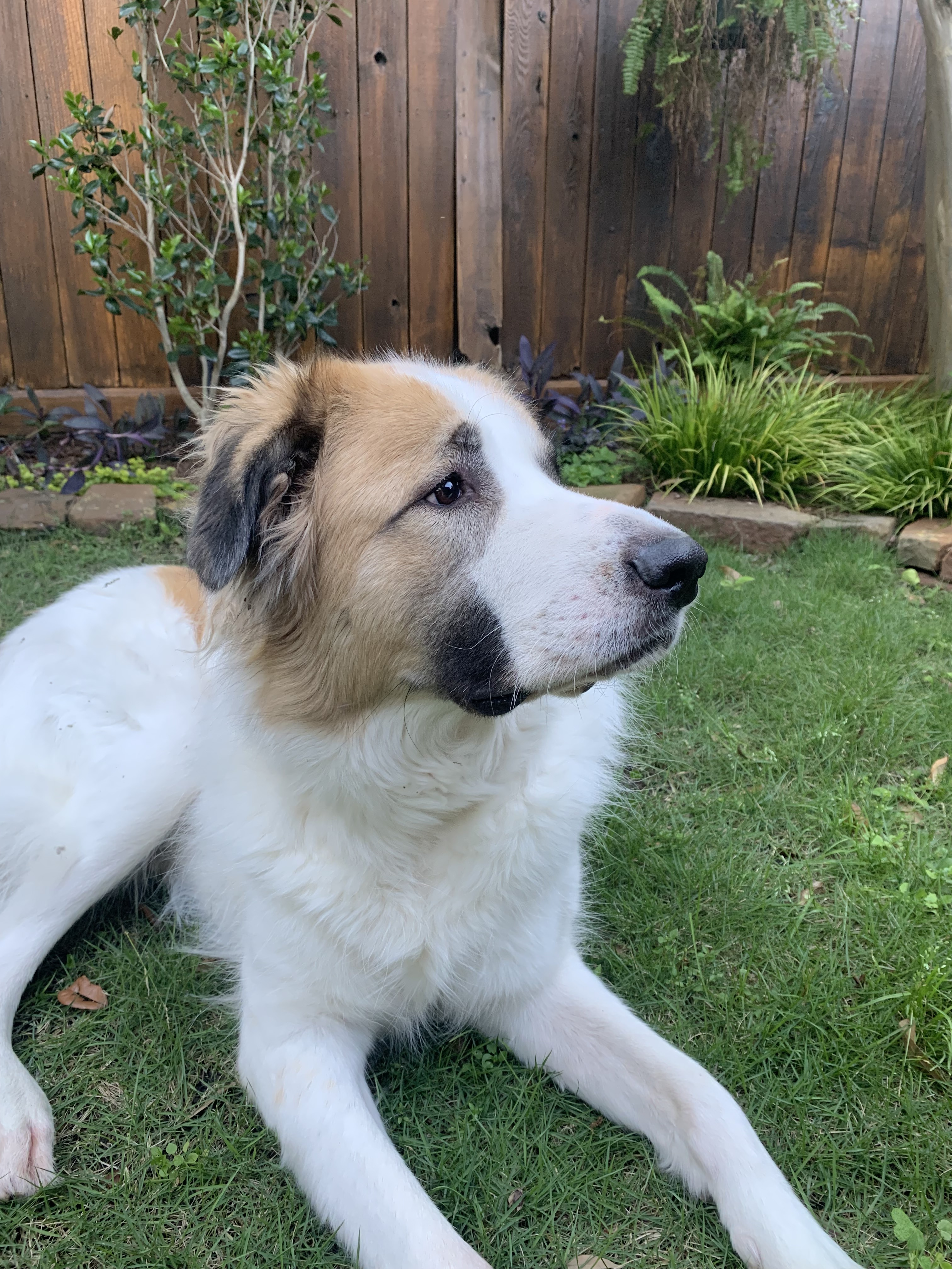 Marlow fka Aquata HTX