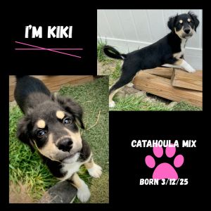 KiKi