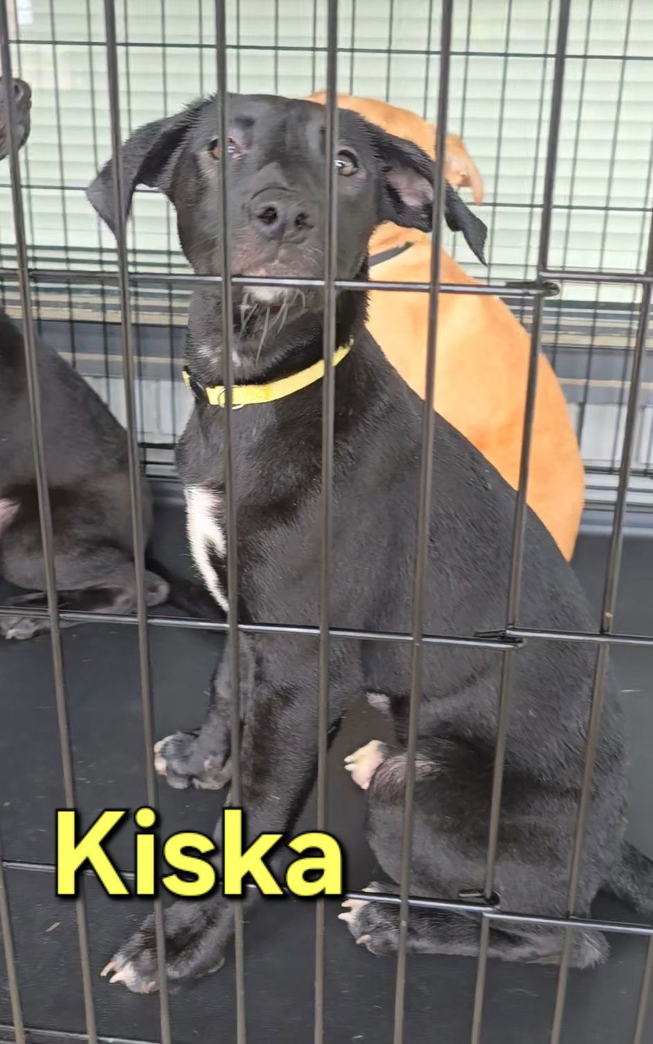 Kiska