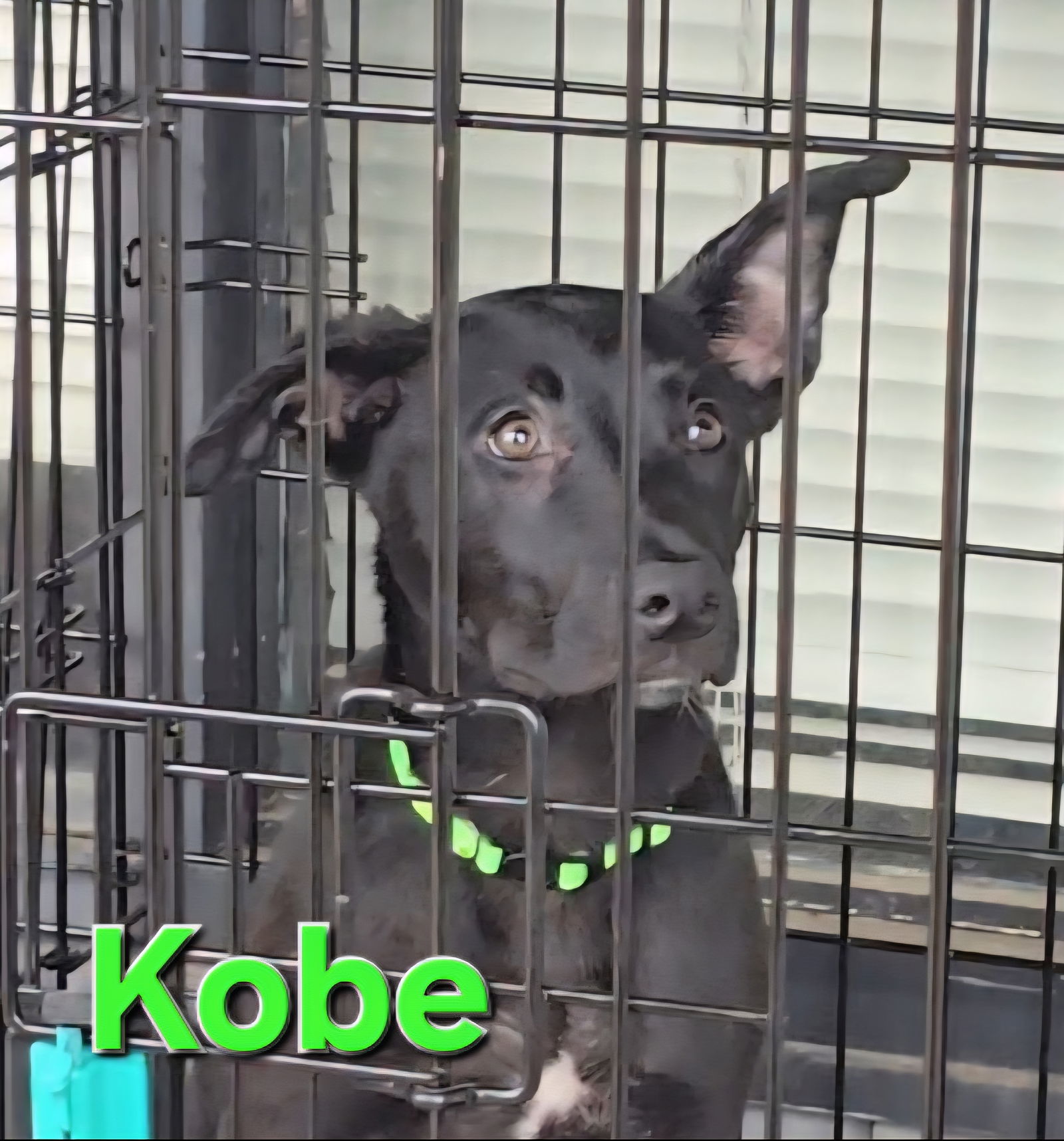 Kobe