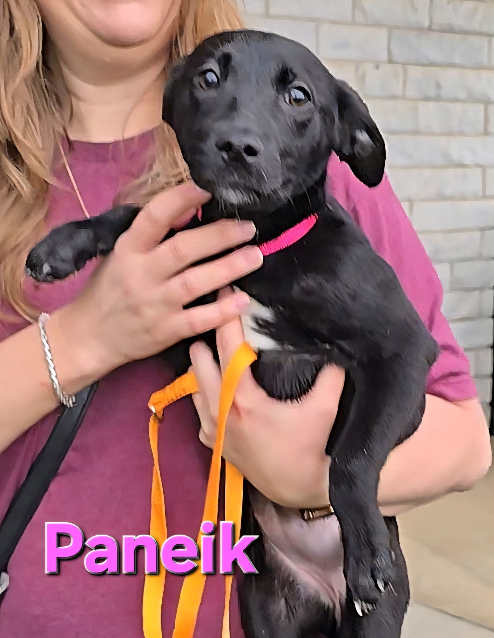 Paneik