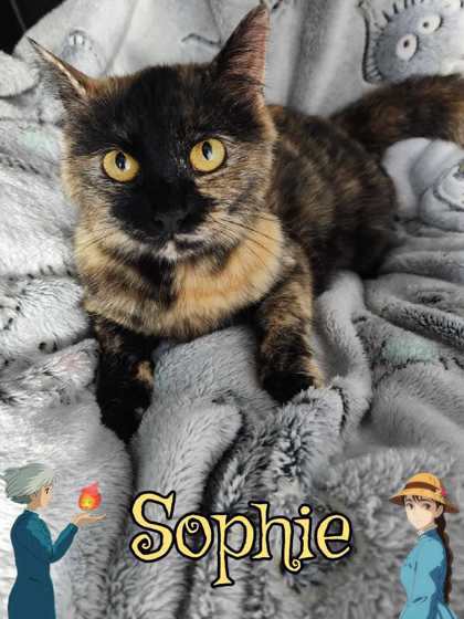 Sophie