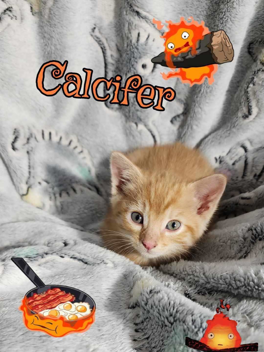 Calcifer