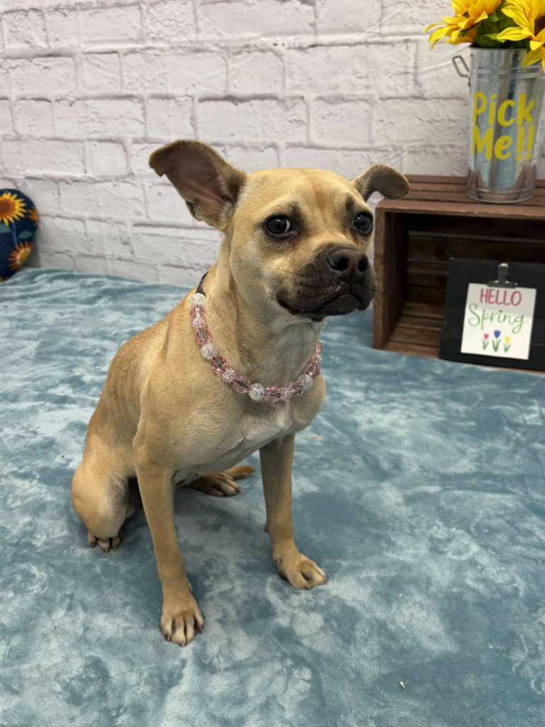 Pru
