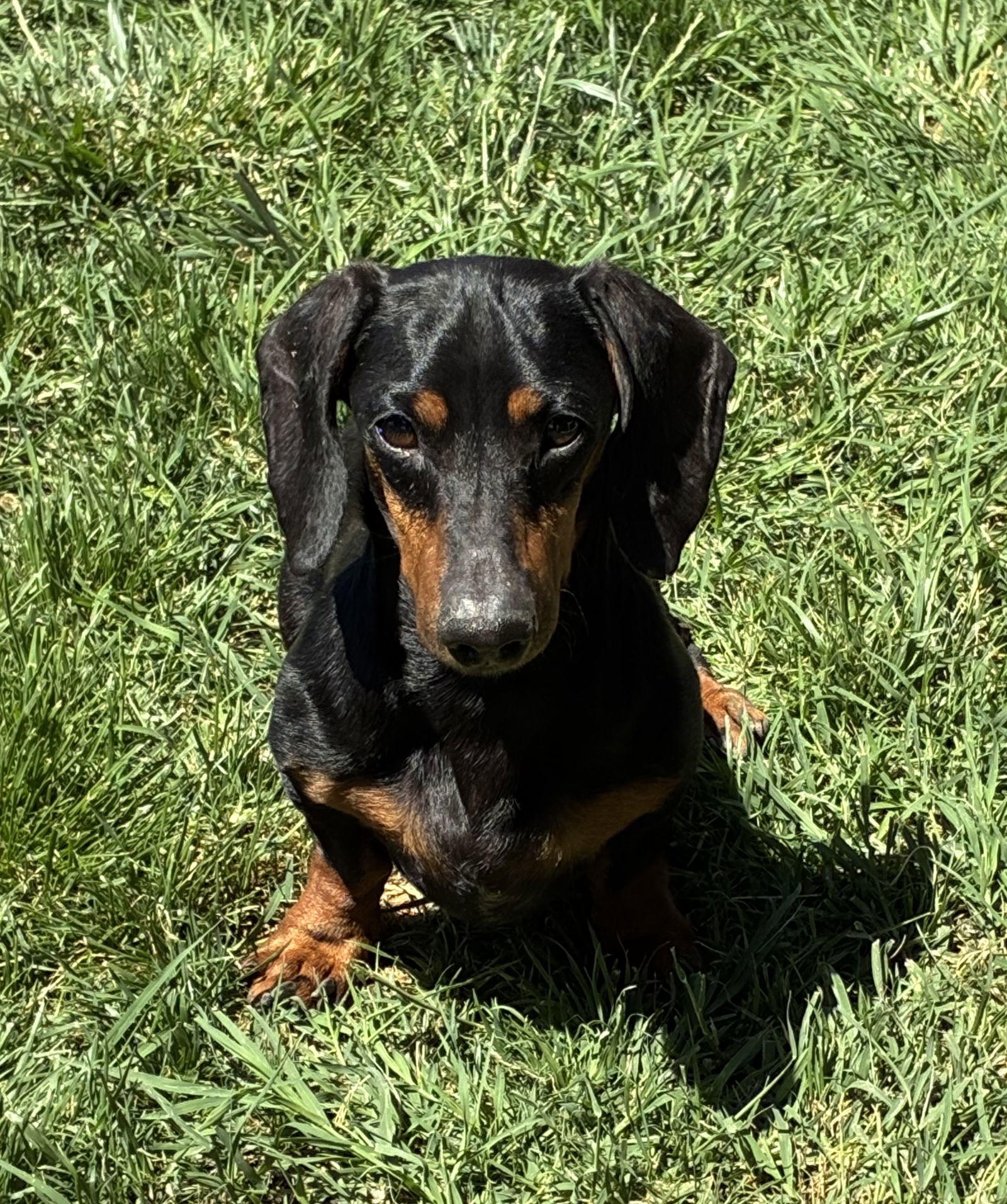 Max