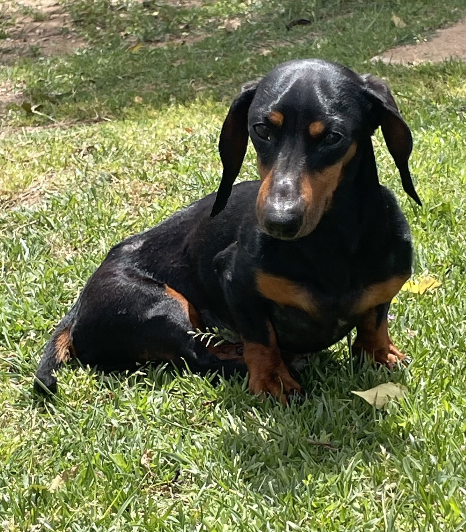 Max