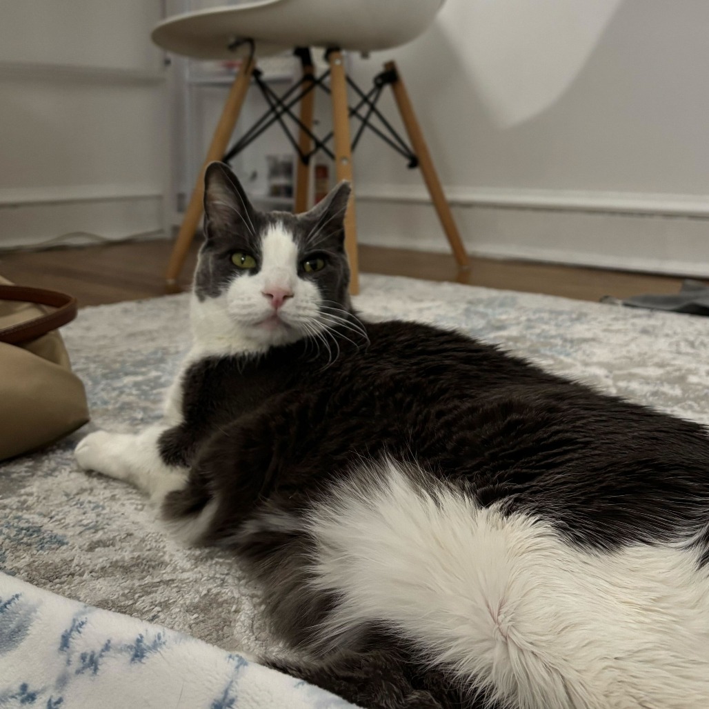 Benji