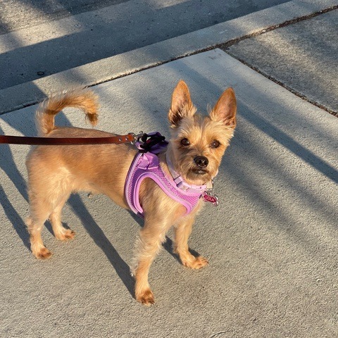 Lola thumbnail 3