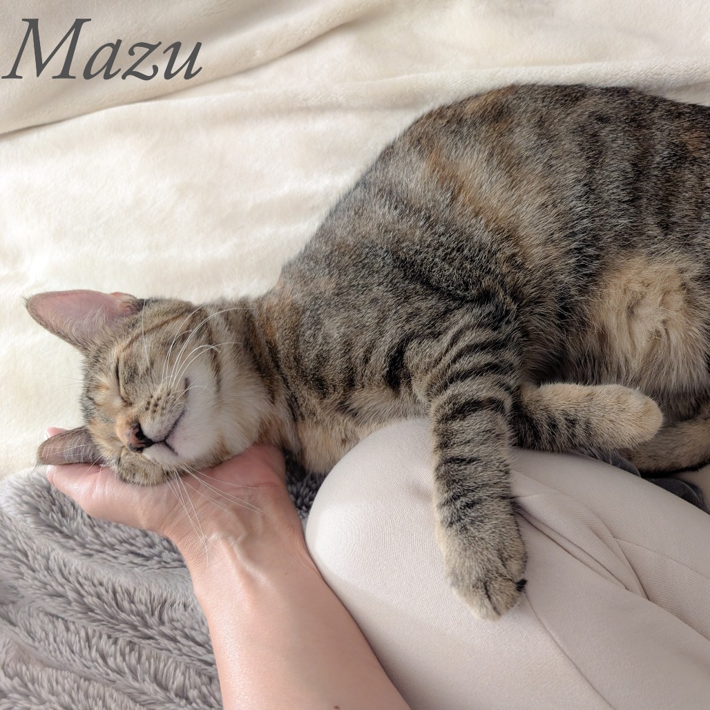 Mazu