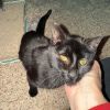 0225-87 Indy photo 3