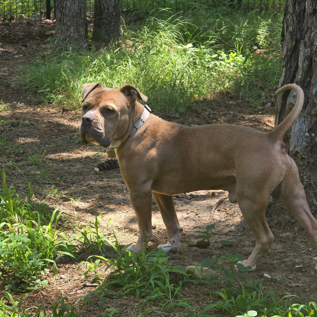 Charlie 25-01-159