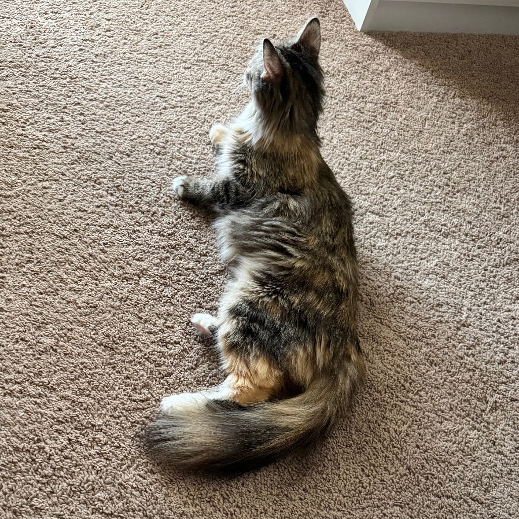 Fluff