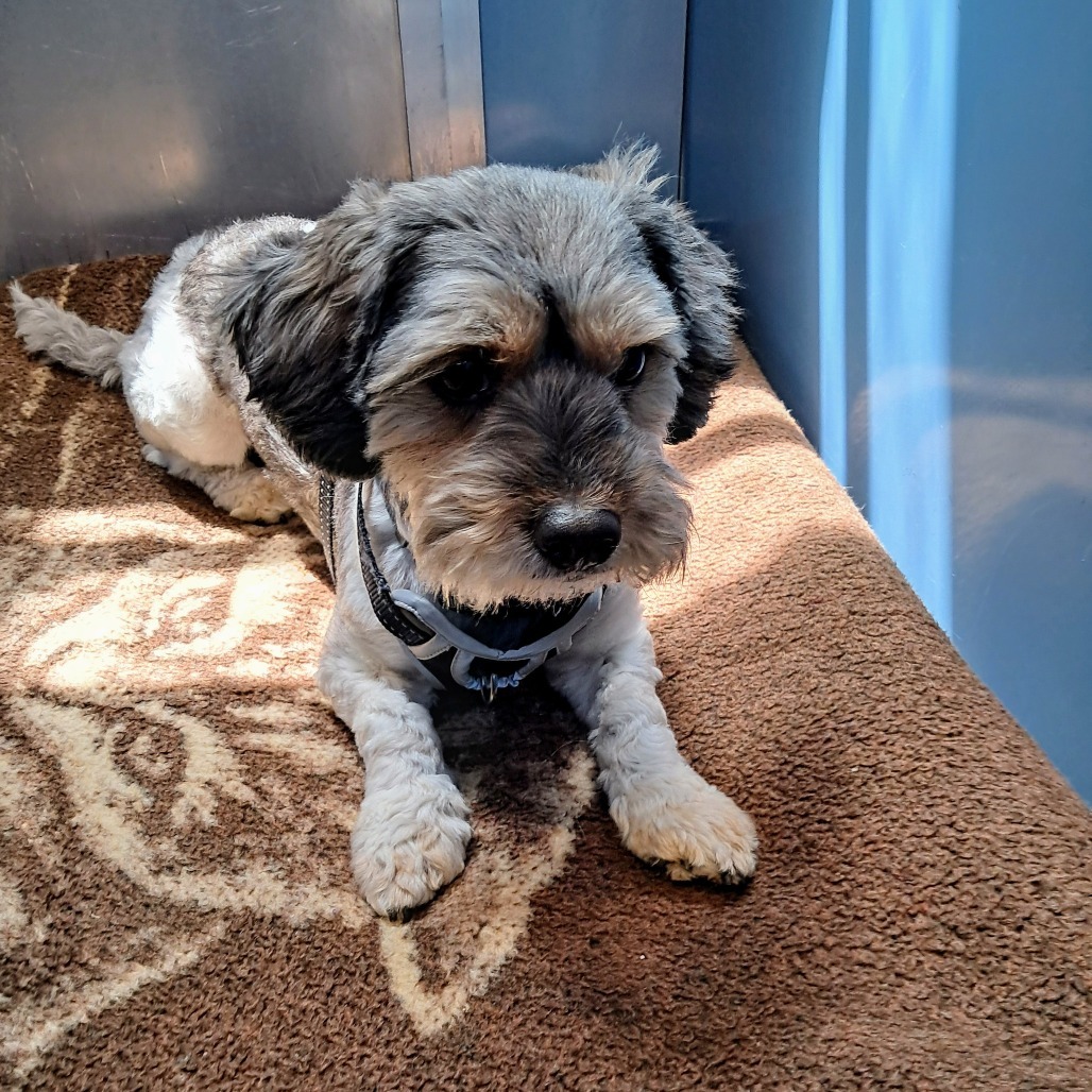 Fitz aka Milo